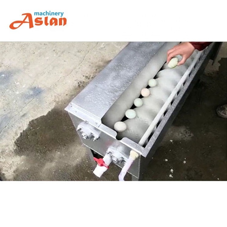 Salted egg washing machine/ household Hen egg brush roller cleaning machine /farm Goose egg cleaning  machine