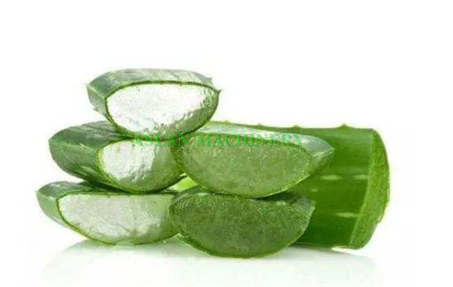 Aloe vera gel extracting machine/ cactus peeling machine for sell/aloe cosmetic processing lines machine