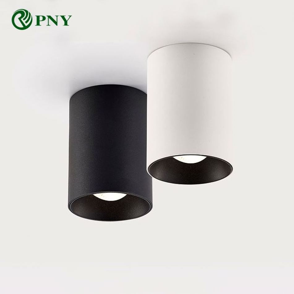 PNY High Quality LED Downlight Surface Mounted Down Lights Gold White Black Dali Triac 0-10V Smart Dimmable Ceiling Spotlight