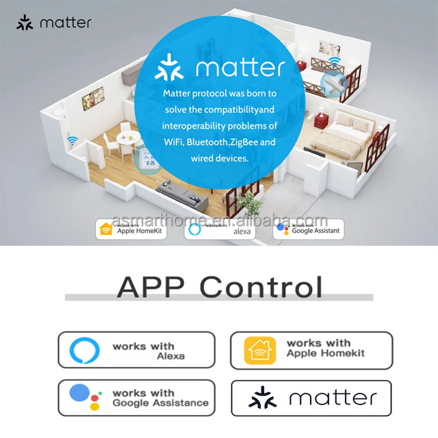 OEM ODM New Matter 1.0 Smart Home US 1 2 3 4 Gang Light Switch Homekit Alexa Google WiFi Voice Remote Smart Matter Light Switch