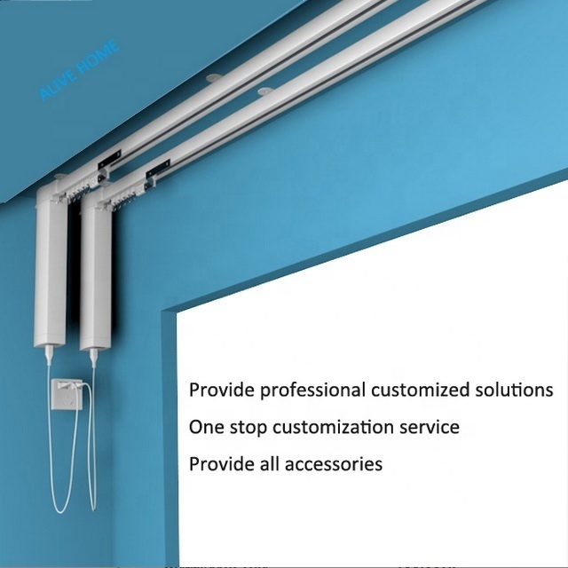 Customize Logo size Smart Home  curtain set  Heavy Duty Alexa WiFi 2NW Ewelink app quite curtain motor  Motorised  Curtain Track