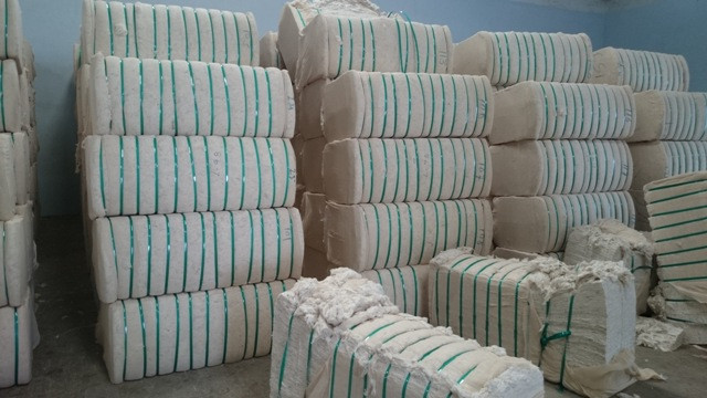 Indian Manufacture Best Quality Raw Cotton Bales at Wholesale Price