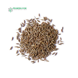 Best Quality Cumin Single Spices High Quality Bulk Cumin Seed Single Spices & Herbs From India