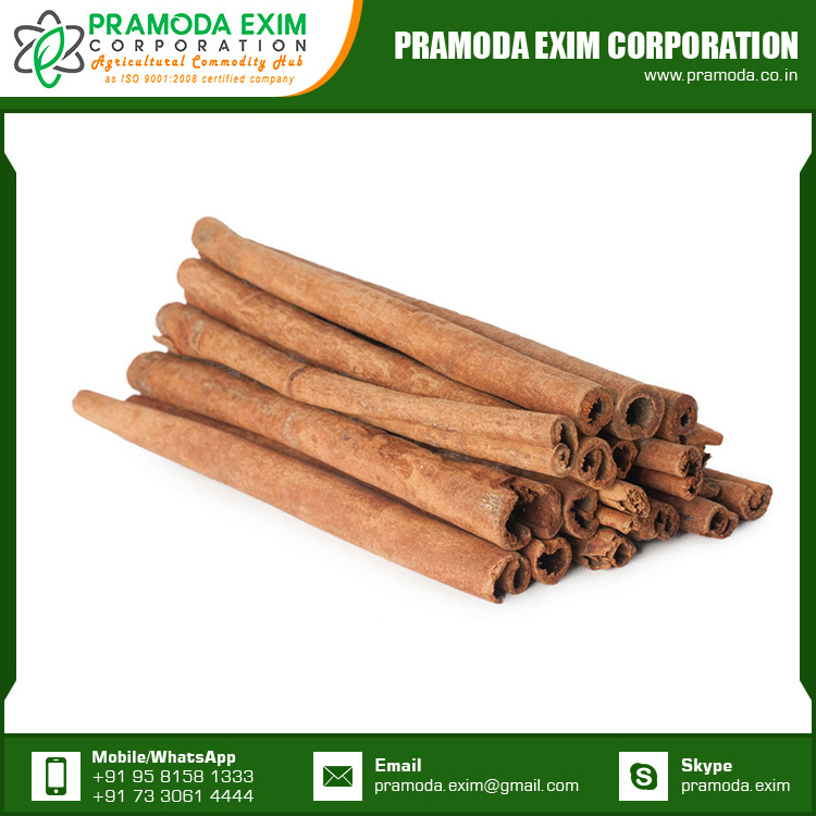 Wholesale Organic Cinnamon Cassia Stick Cinnamon Single Spices & Herbs from India