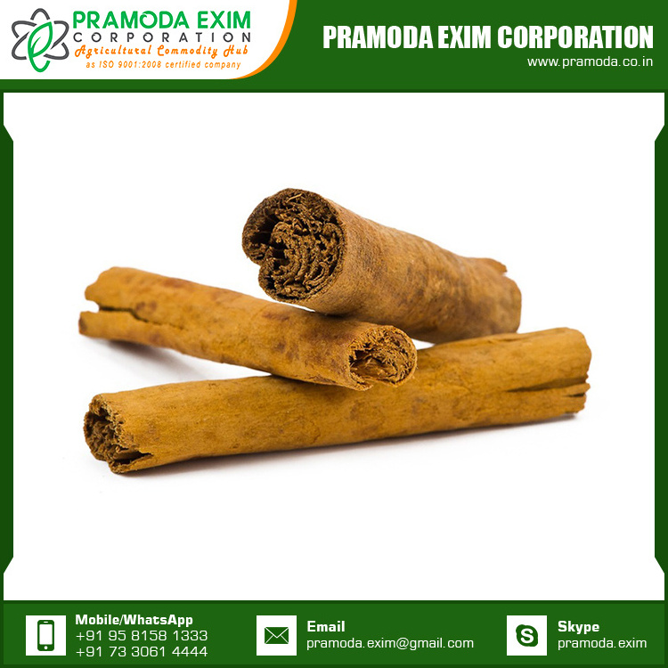 Wholesale Organic Cinnamon Cassia Stick Cinnamon Single Spices & Herbs from India