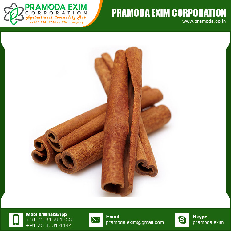 Wholesale Organic Cinnamon Cassia Stick Cinnamon Single Spices & Herbs from India