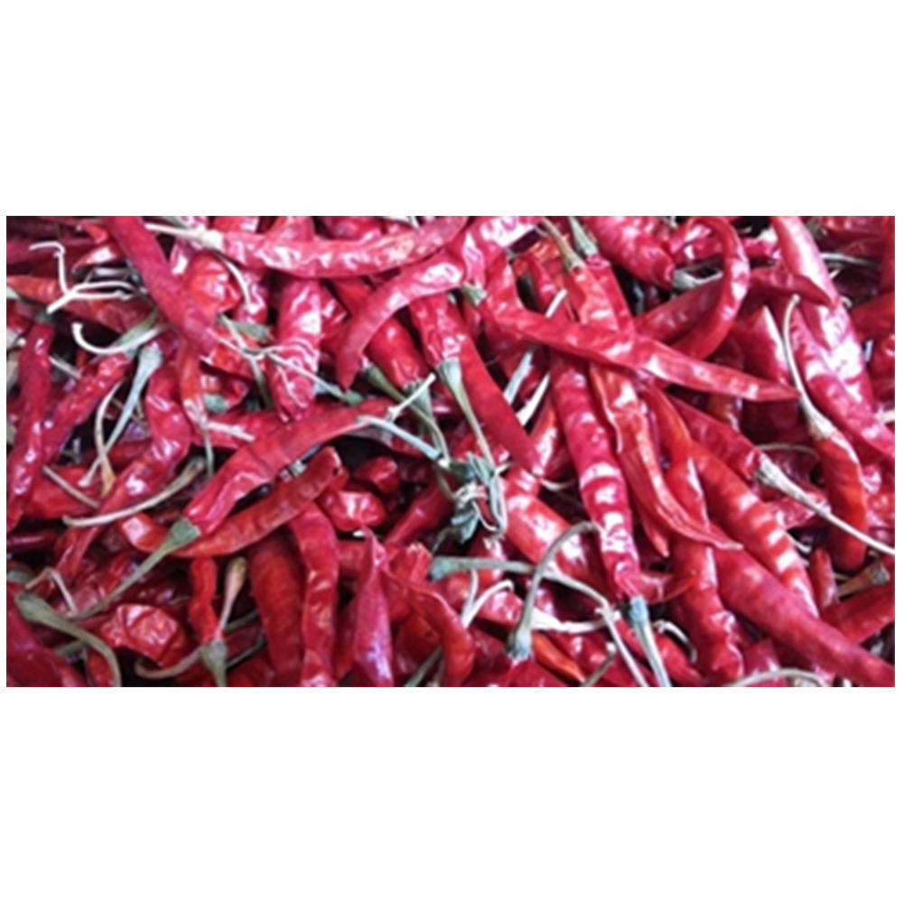 Wholesale Price Dry Red Chilies/4884 Red Chilli