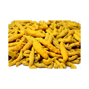 New Crop Best Quality Raw Turmeric Single Spices & Herbs Available At Wholesale Price