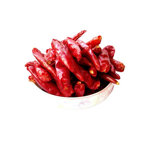 Wholesale Price Dry Red Chilies/4884 Red Chilli