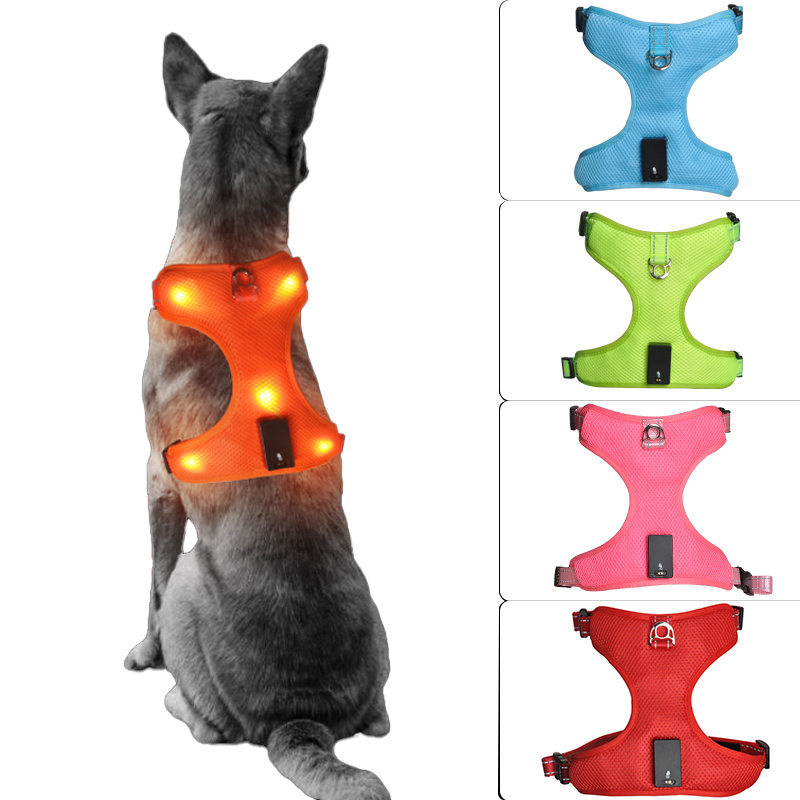 Night Walking Dog Vest Pet Carrier Magnetic Charging LED Waterproof Light-Emitting Chest Harness