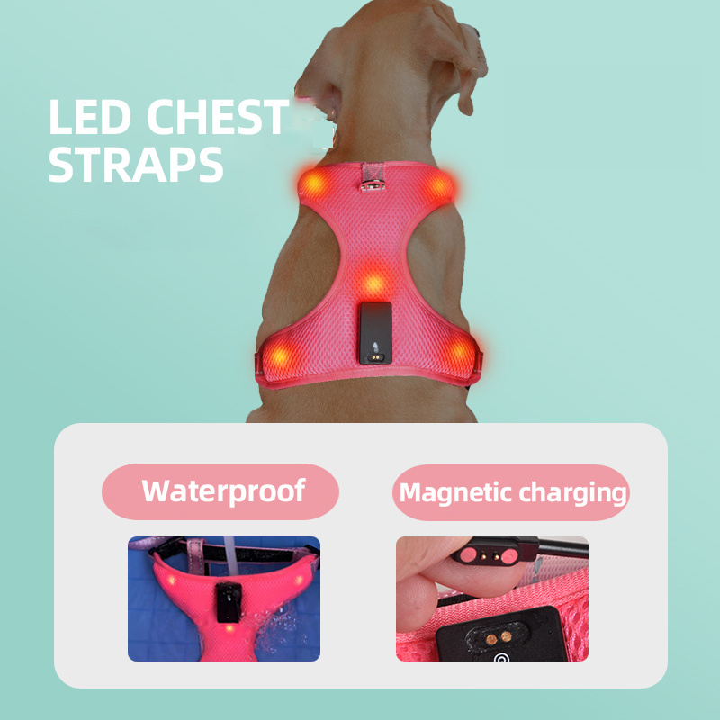 Night Walking Dog Vest Pet Carrier Magnetic Charging LED Waterproof Light-Emitting Chest Harness