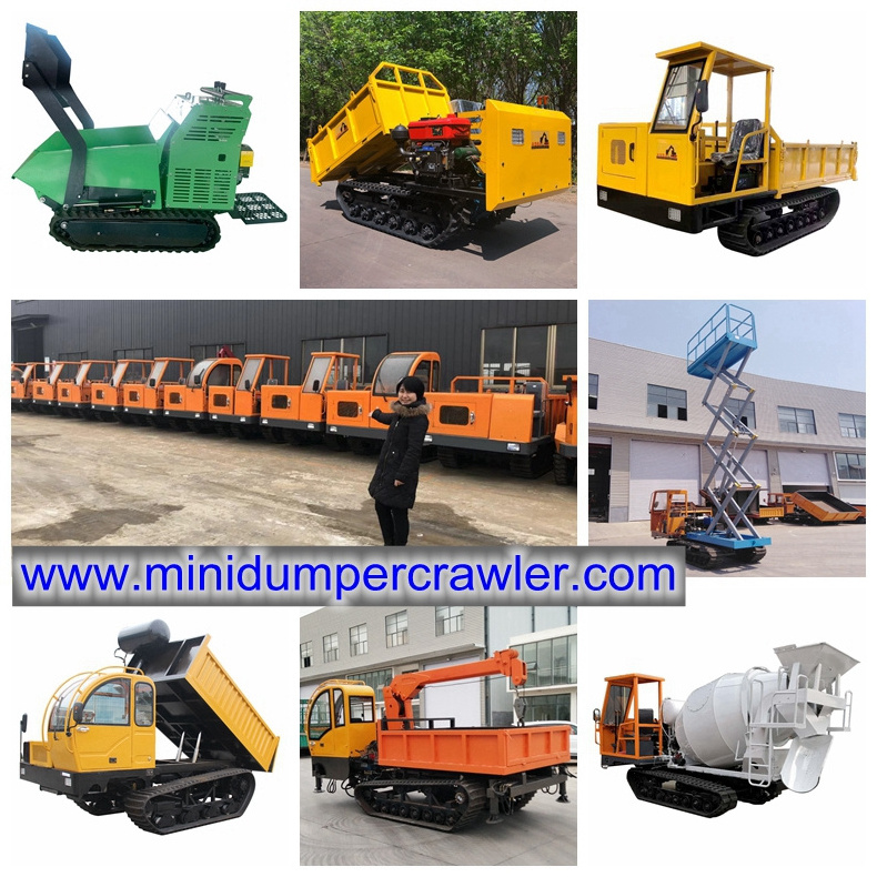 Mini Crawler Transporter Rubber Track Dumper 500kg Crawler Cargo Dump Truck