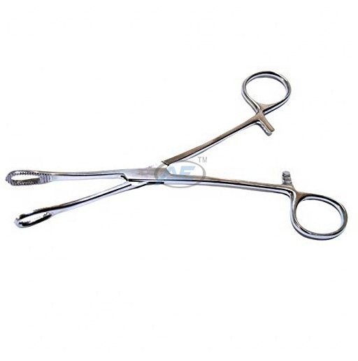 ISO Certified Indian Manufacturer Hot Selling Product General Instrument Sponge Holding Forceps for medical use Stainless Steel