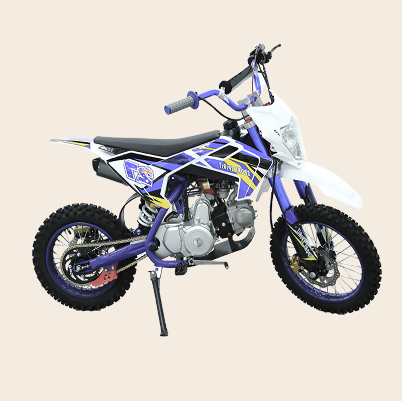 Factory Customizes Wholesale Economic Classical 110cc Dirt Bike Sport cheap Motorcycle Street Motorcycle