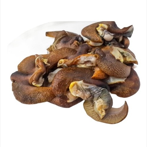 FROZEN SNAIL/FRESH EDIBLE SNAILS/ GOLDEN SNAILS 2023