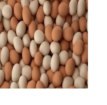 High Quality Packaging 100% Natural High Quality Fresh Chicken Egg For Sale