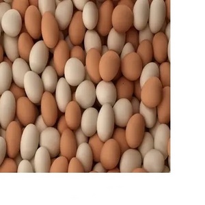 High Quality Packaging 100% Natural High Quality Fresh Chicken Egg For Sale