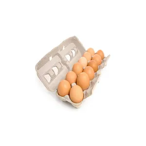 Fertile Hatching Chicken Egg/Fresh Chicken Table Eggs/Quail Eggs for Sale