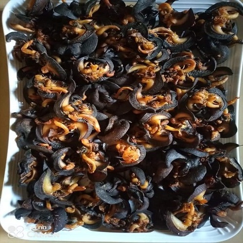 Big Frozen Snails Dried African Giant Land Snails Meat wholesale offer cheap retails