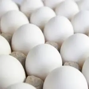 High Quality Packaging 100% Natural High Quality Fresh Chicken Egg For Sale