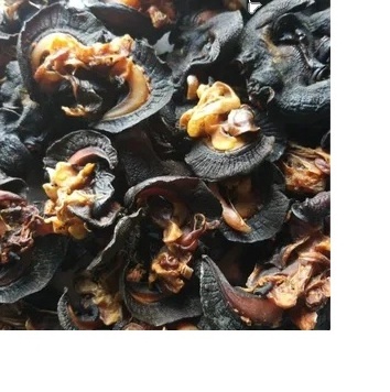 Giant African Land Snails for sale/High Quality Edible Snails Frozen/Dried /Fresh Snails