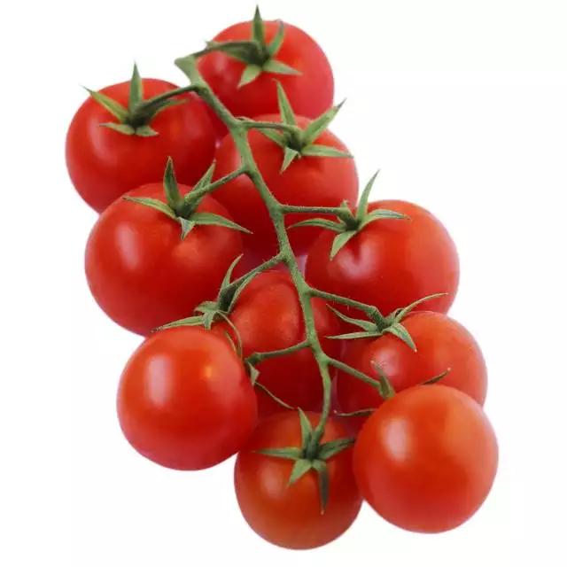 Best Price High Quality Fresh Tomato 100% Natural with best price and high quality from Vietnam in 2022 (wholesale)