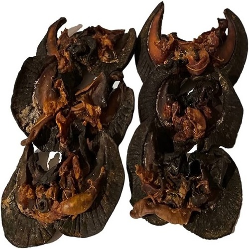 High Quality Edible Snails Dries Snails Giant African Land Snails for sale Frozen Dried