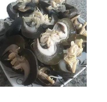 Giant African Land Snails for sale/High Quality Edible Snails Frozen/Dried /Fresh Snails