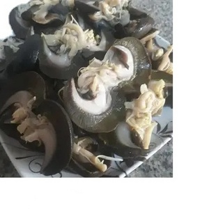 Giant African Land Snails for sale/High Quality Edible Snails Frozen/Dried /Fresh Snails