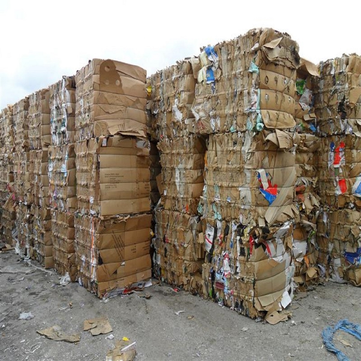 Low Prices WASTE PAPER SCRAP ONP OCC Cardboard Scrap, Waste Newspaper Scrap