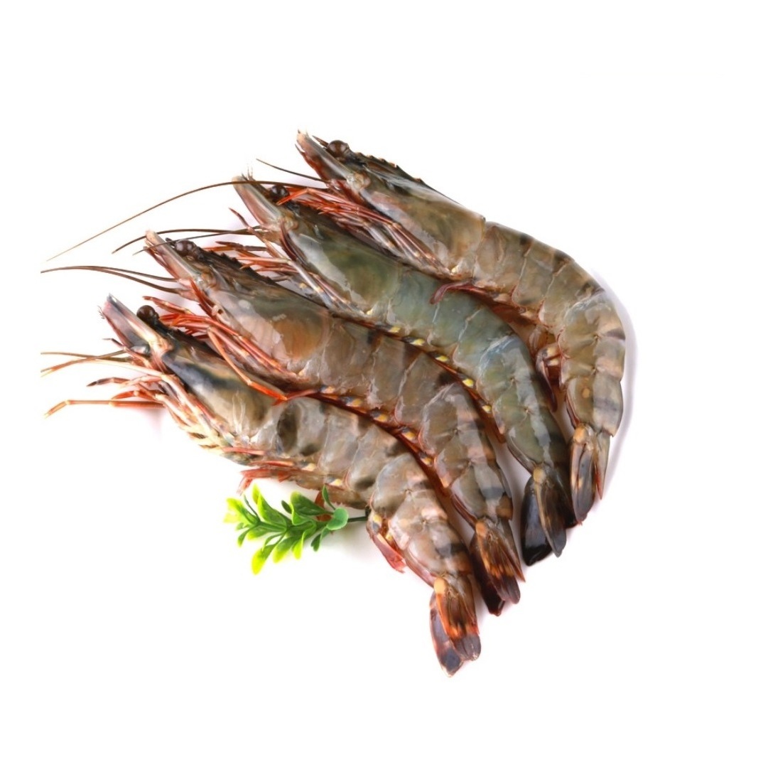 Cheap Shrimp Seafood High Quality Frozen Vannamei Shrimp,Quality price Frozen WILD Red Shrimp for sale