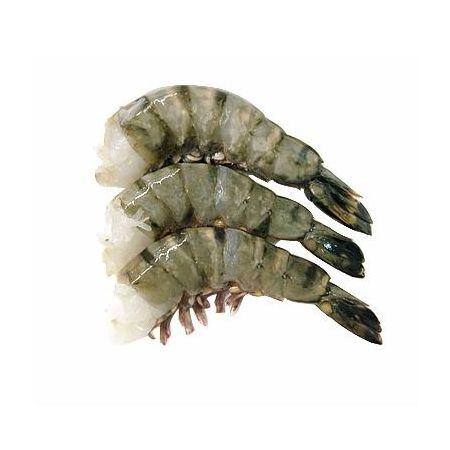 Cheap Shrimp Seafood High Quality Frozen Vannamei Shrimp,Quality price Frozen WILD Red Shrimp for sale