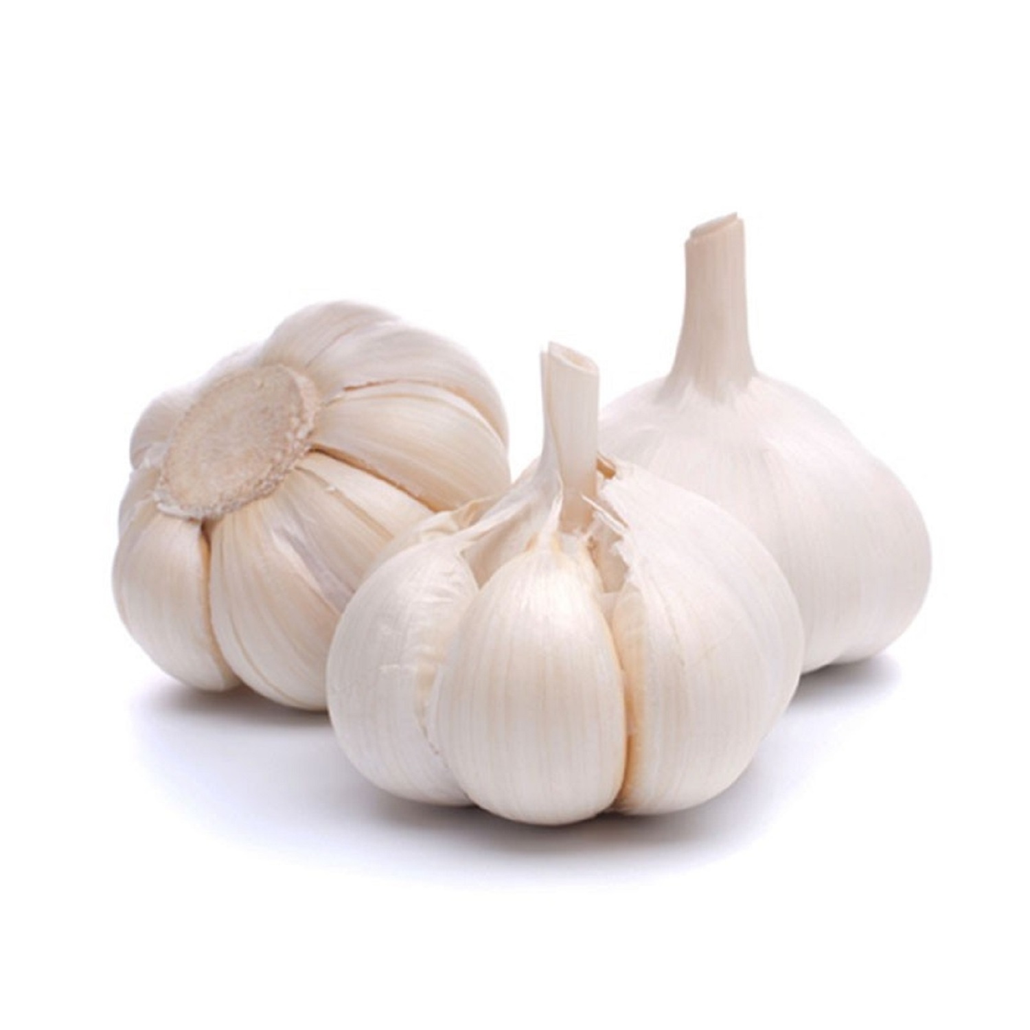 High Quality Fresh Vegetables Export Garlic Garlic Wholesale