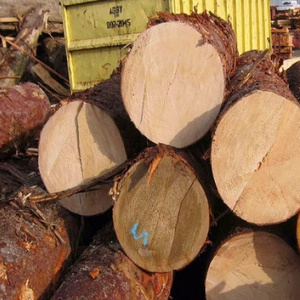 Best Selling Highest Quality German Timber White Birch Lumber Wood Round Logs Natural Product For Sale