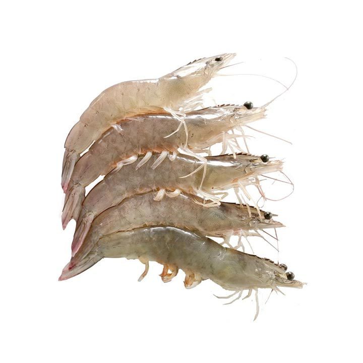 Cheap Shrimp Seafood High Quality Frozen Vannamei Shrimp,Quality price Frozen WILD Red Shrimp for sale