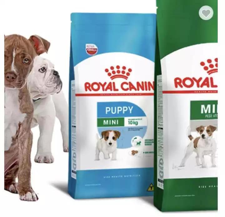 OEM ODM same quality royal canin cat food Beef Flavor dry cat food with Freeze dried