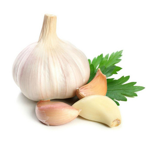 High Quality Fresh Vegetables Export Garlic Garlic Wholesale