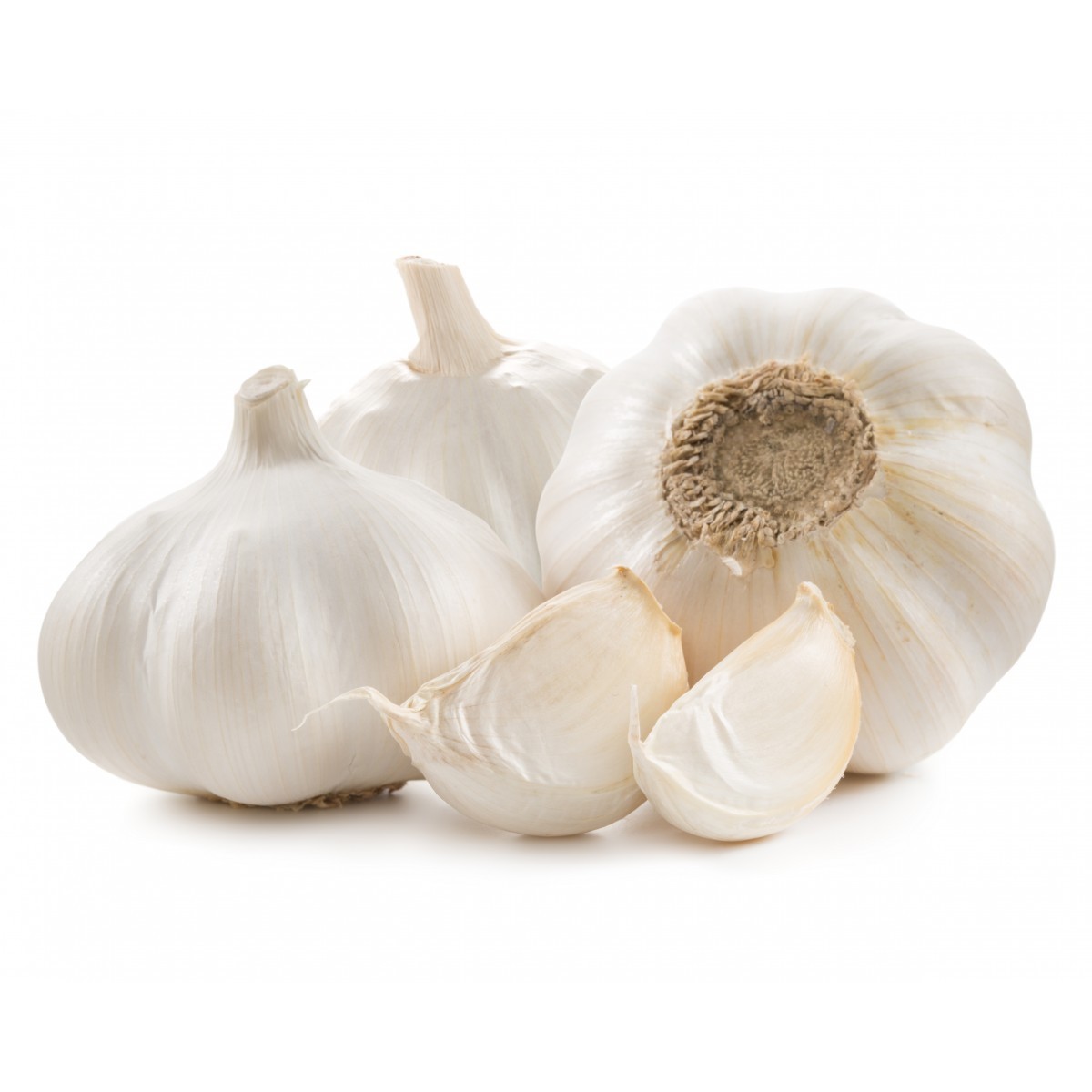 2023 new cold storage fresh garlic 5.0 cm normal white garlic wholesale natural garlic