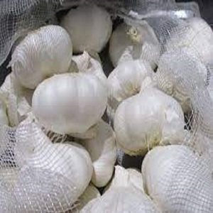 Fresh Garlic China Vegetables Exporters 4KG Bag White Garlic Export