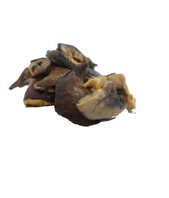 Best Frozen Snails, Dried African Giant Land Snails Meat