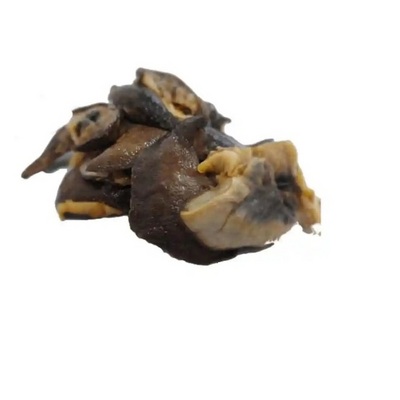 Best Frozen Snails, Dried African Giant Land Snails Meat