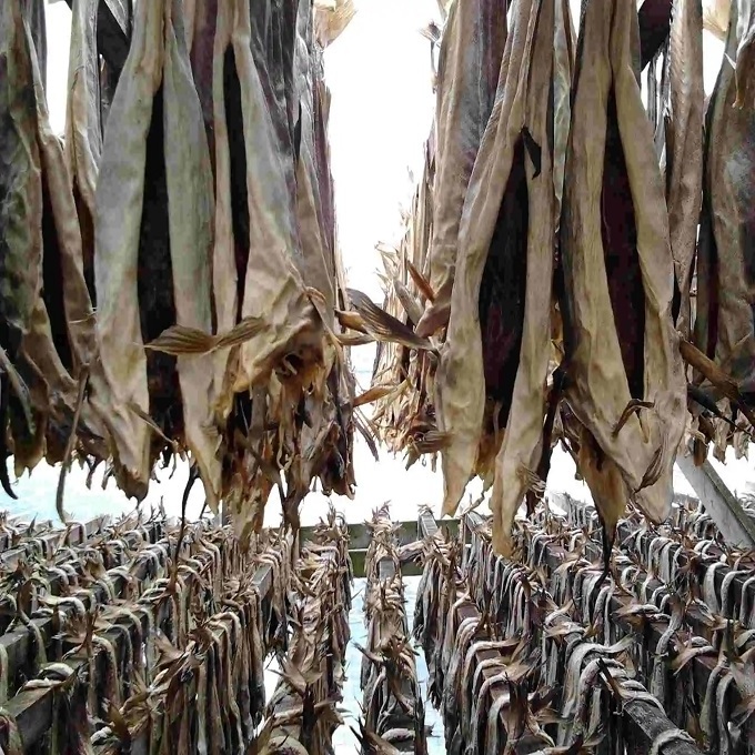 100% dry Stock Fish / Norway Dried StockFish International shipping