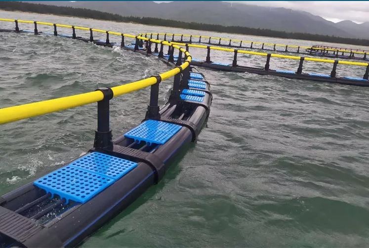 Flexible plastic cages- Open Sea Aquaculture Fish Cages