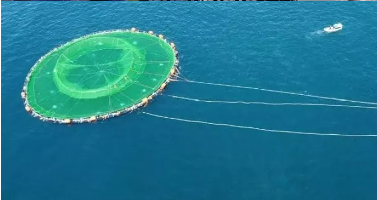 Flexible plastic cages- Open Sea Aquaculture Fish Cages