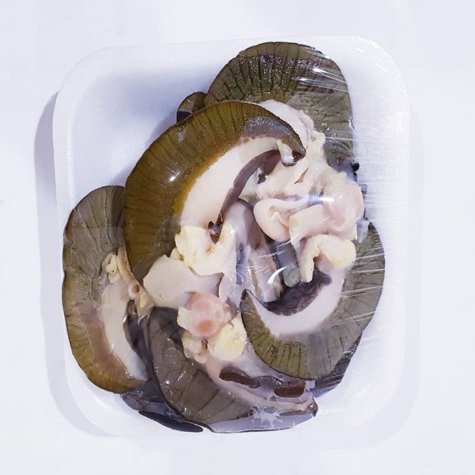 Fresh Frozen african Snail Meat With Best Price from Indonesia