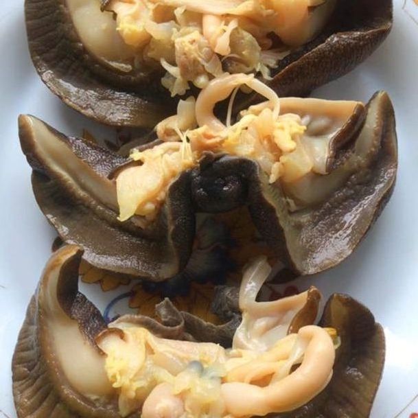 Best Frozen Snails, Dried African Giant Land Snails Meat