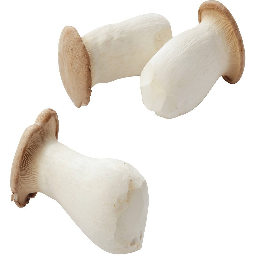 100% organic Dried Sliced Oyster Mushrooms best price