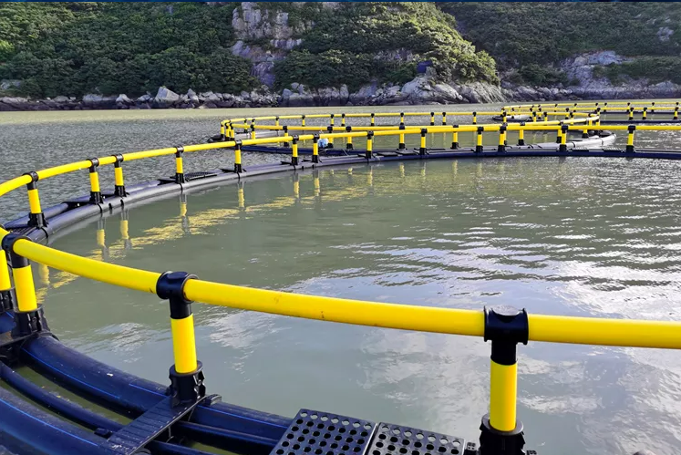 Flexible plastic cages- Open Sea Aquaculture Fish Cages