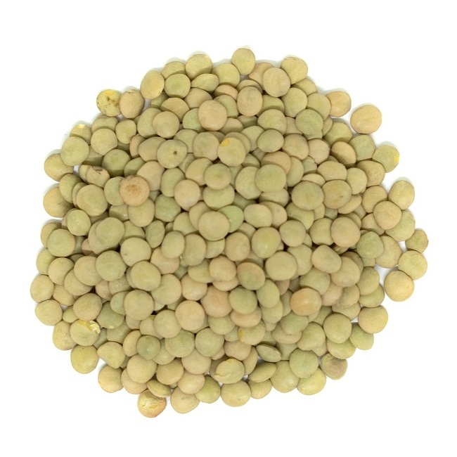 Red Lentils From Canadian 100% organic