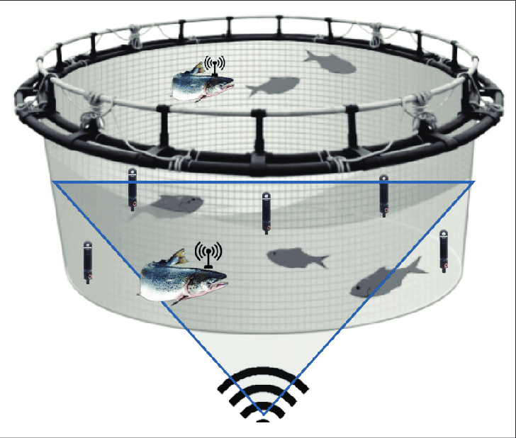 Flexible plastic cages- Open Sea Aquaculture Fish Cages